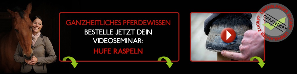 Hufpflege Kurs